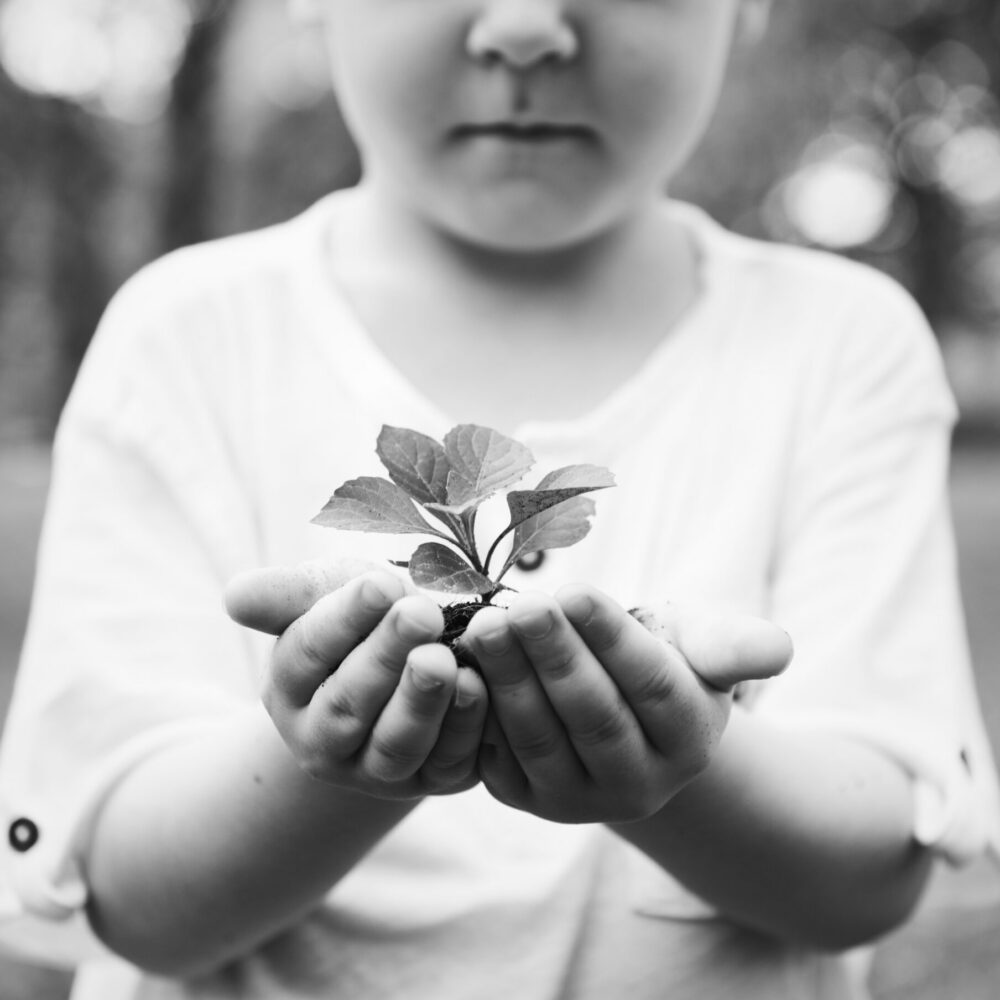Veröffentlichung eines Sonderberichtes zum Thema Kinderprekarität in der DG
